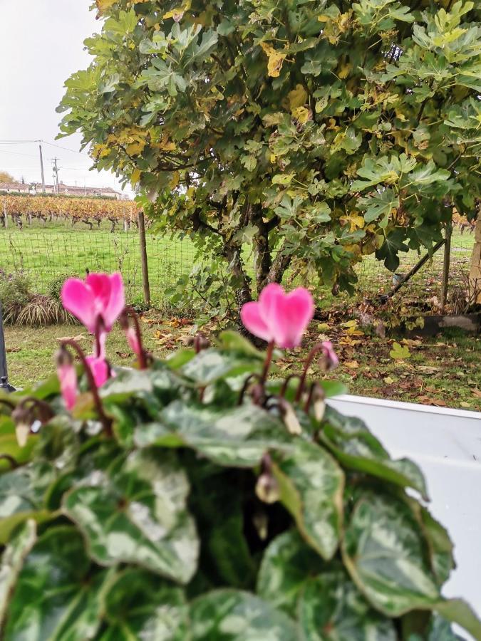 Gite " Suzon" A Peyroutas Vignonet St Emilion Esterno foto